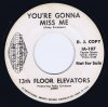 13 th floor elevators promo.jpg