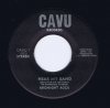 midnight rock-hear my band-cavu1.jpg