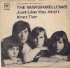 The Marshmellows.JPG