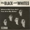 Black & Whites2.jpg