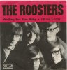 Roosters2.jpg