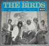 Birds.JPG
