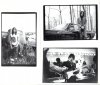 Sonic Smith 3 pics.jpg