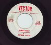 MISTER'S VIRTUE - Summer Night.jpg MISTER'S VIRTUE - Summer Night.jpg