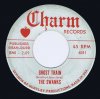 swanks ghost train charm 6081.jpg