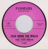 TwoMuch-TearDownTheWalls.jpg