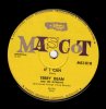 Terry Dean & The Nightbeats - If I Can.jpg