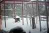 watt roky 024 backyard structure copy.jpg
