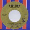 rogues you better look now audition 6110.jpg
