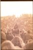 Concert photos H019.jpg