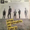 Animals EP.jpg