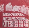 Simon Dupree - Kites.jpg