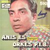 Anis Es 1.jpeg
