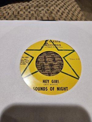 Sounds Of Night 2.jpg