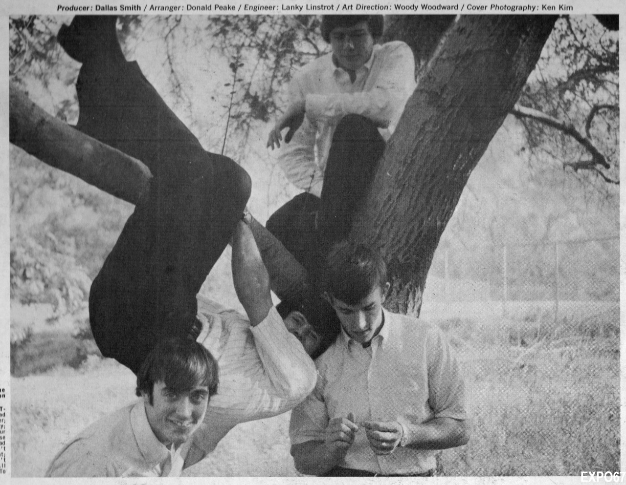 Gants+in+tree.jpg