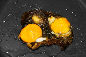 burnt_egg_by_incredibledictu.jpg